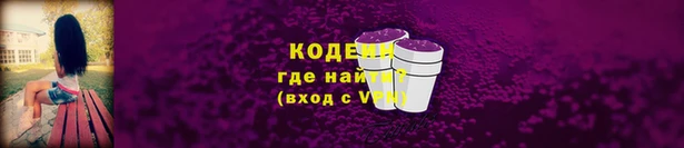 соль ск Заводоуковск