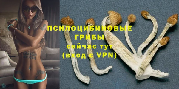 стаф Заволжье