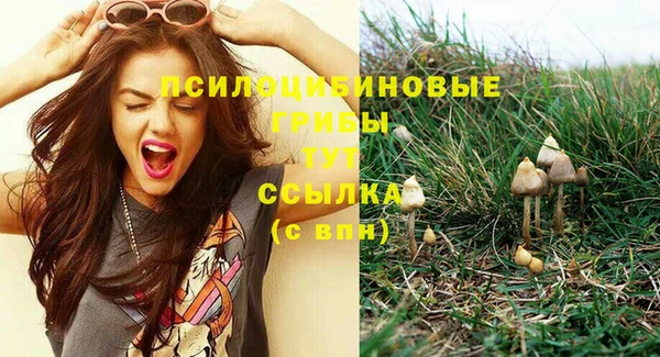 соль ск Заводоуковск
