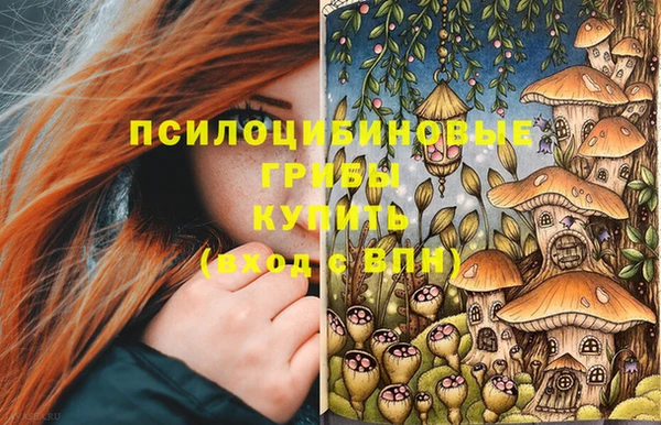 стаф Заволжье